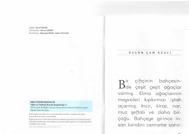 BURDUR BAHÇELİEVLER İLKOKULU 4/F SINIFI &ÇALIŞKAN DÖRTLER: SAYIN