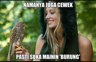 Kumpulan Meme Burung Lucu Sebagai Penghibur Di Kolom Komentar