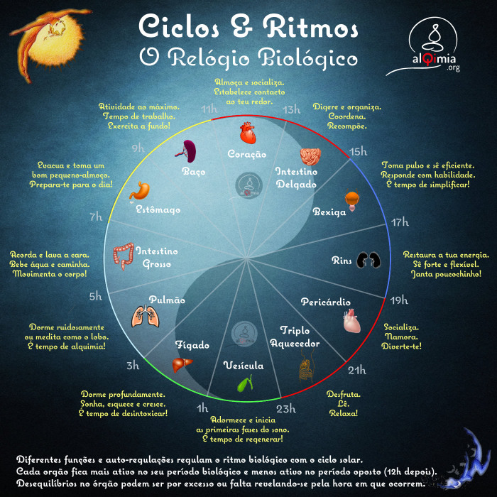 Tintura de ginsengue de melhora de uma potência