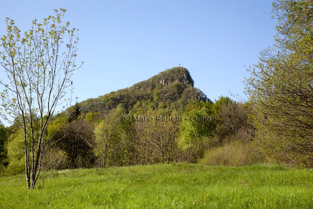 Poncione di Ganna Le montagne del varesotto, pur non essendo molto alte, sono capaci di offrire gite molto belle e gratificanti in ogni stagione dell'anno: l'itinerario ad anello di cui parlo oggi è abbastanza breve (circa 3 ore comprese le soste), di dislivello contenuto (attorno ai 450 m) ma presenta dei tratti da percorrere con molta attenzione salendo verso il Minisfreddo e proseguendo verso il san Bernardo (questa parte di percorso è infatti descritto come pericoloso su cartina Kompass e via verde varesina). A chi è poco allenato o poco propenso a percorrere tratti attrezzati e su roccette consiglio comunque vivamente la prima parte dell'itinerario per il Poncione di Ganna, vetta comunque molto conosciuta e inconfondibile, tra l'altro per la grande croce di vetta, percorrendo la Valganna. La gita parte dal parcheggio del ristorante Alpe Tedesco nell'omonimo paesino frazione di Cuasso al Monte (percorrendo la SS33 in direzione Varese bisogna svoltare a destra poco prima di arrivare a Ganna, girando ancora a destra al bivio successivo) è ricca di cartelli e segnalata anche se a volte le indicazioni mancano o possono trarre in inganno chi non è della zona. Lasciata l'auto si procede dritti percorrendo il sentiero di destra rispetto al cartello della comunità montana, si prosegue a sinistra incontrando il ceppo in pietra, fino ai cartelli che indicano l'inizio e la fine del percorso ad anello continuando a destra verso la prima meta: il Poncione di Ganna appunto. Da questo momento il sentiero inizia a salire decisamente fino ad arrivare all'ultimo tratto dove in alcuni punti bisogna aiutarsi con le mani (dal parcheggio ci vogliono una quarantina di minuti). La vetta del Poncione è comunque raggiungibile, oltre che con la via diretta con un tracciato meno impegnativo (all'ultimo cartello in legno che segnala la salita verso destra si procede dritti per poi prendere a destra più avanti percorrendo il sentiero che unisce Poncione e Minisfreddo – attenzione perchè in questo tratto mancano le tracce bianche e rosse anche se il sentiero è ben evidente). Esiste anche una terza opportunità: la falesia attrezzata per chi ama le arrampicate raggiungibile prendendo a destra prima della diramazione di cui sopra. Comunque ci si arrivi la vista è impagabile e a 360° con i laghi Maggiore, Ceresio, Ganna, Ghirla oltre ad un numero spropositato di vette facilmente individuabili aiutandosi con la grande ruota in rame posizionata accanto alla grande croce di vetta. Il giro ad anello prosegue abbastanza ben segnalato verso Minisfreddo prima e san Bernardo poi, incontrando alcuni punti abbastanza difficoltosi peraltro ben attrezzati con corde metalliche e alternando punti panoramici e tratti nel bosco. Sulla vetta del san Bernardo (patrono degli alpinisti, come ricorda la targa) la vista spazia decisamente verso il lago di Lugano e le vette che gli fanno da corona. Il giro prosegue andando dritti verso il monte Rho d'Arcisate per poche decine di metri, girando però a sinistra poco dopo una piccola cappelletta in legno con crocefisso. Il percorso è per una ventina di minuti nel bosco fino a raggiungere il sentiero 3V che, passando per l'alpe Strologo e fontanella con area di sosta, ci porta a chiudere l'anello in circa un'ora. Quest'ultimo tratto, largo, quasi interamente pianeggiante e fattibile anche in mountain bike è un pochino carente di indicazioni (bisogna comunque sempre procedere verso sinistra fino a ritrovarsi di fronte la vetta del Poncione). Da notare anche le indicazioni gialle per san Bernardo, sasso Forato (che non vanno seguite) ma che mi hanno incuriosito e saranno meta di una prossima escursione “varesotta”.