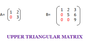 C program to find upper triangular matrix