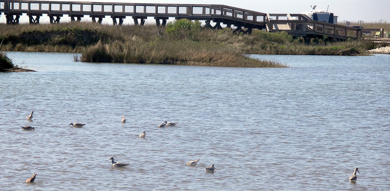 Travel with the Slivas Sea Rim State Parknear Sabine Pass, TX