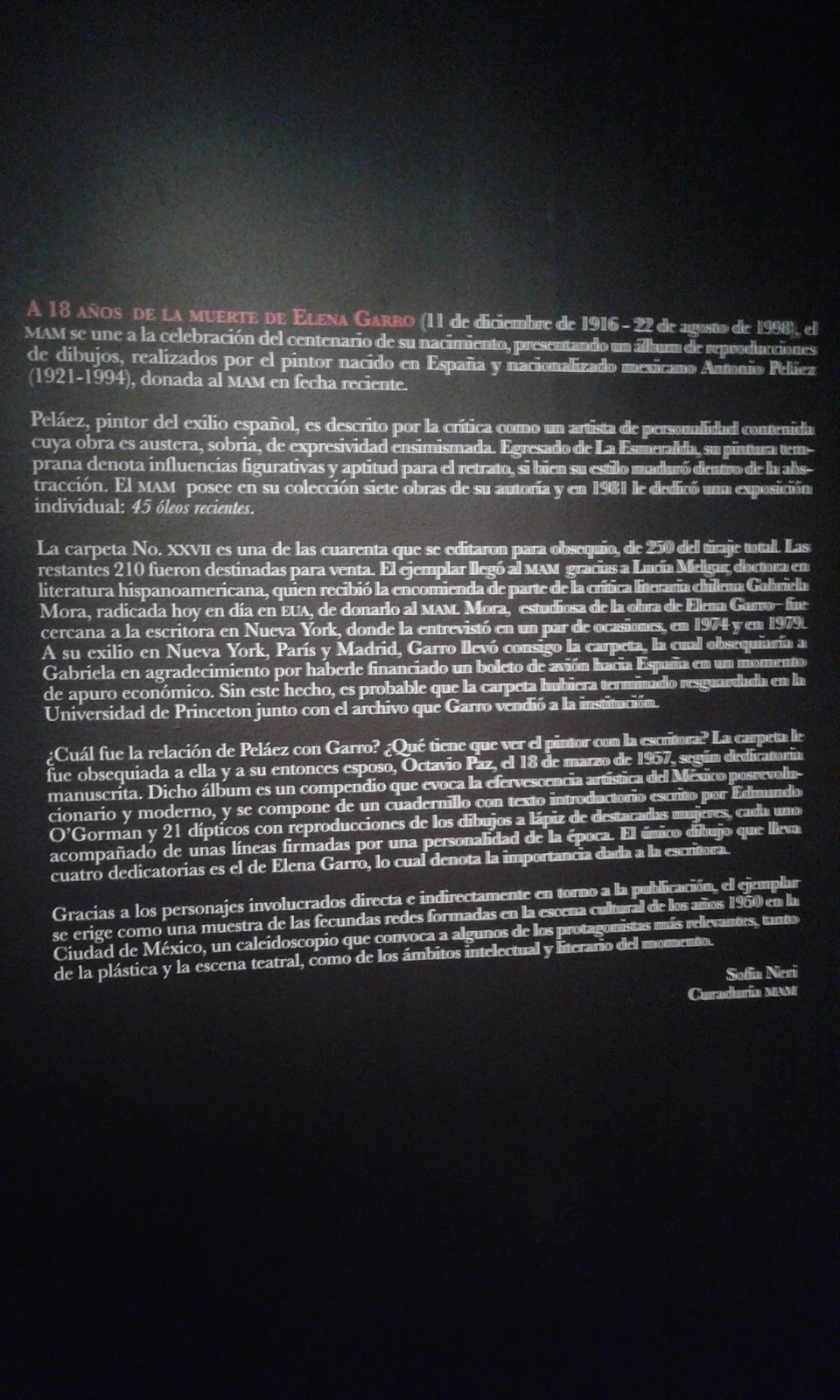 Leonie Pujol tipografía Colección Metal muere carpetas Sellos letras fuente