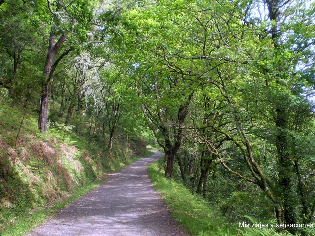 Cascada de Toxa, comarca del Deza, Galicia