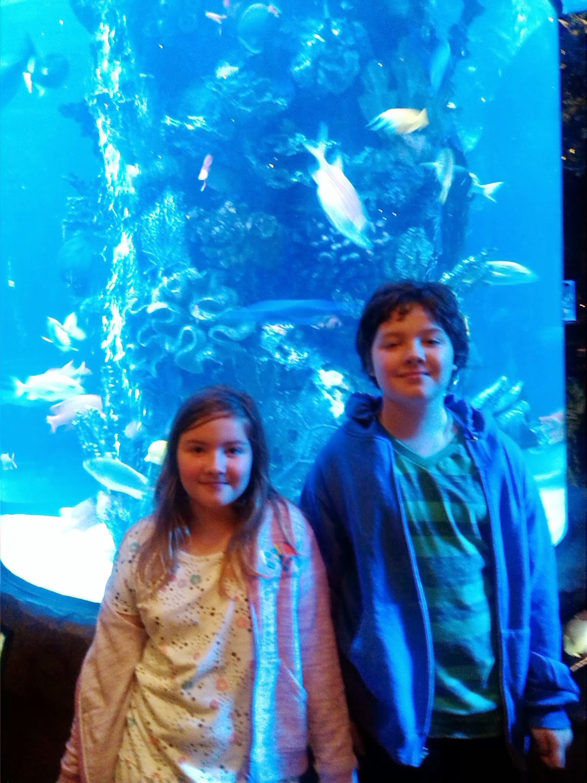 Visiting an Aquarium Visiting an Aquarium