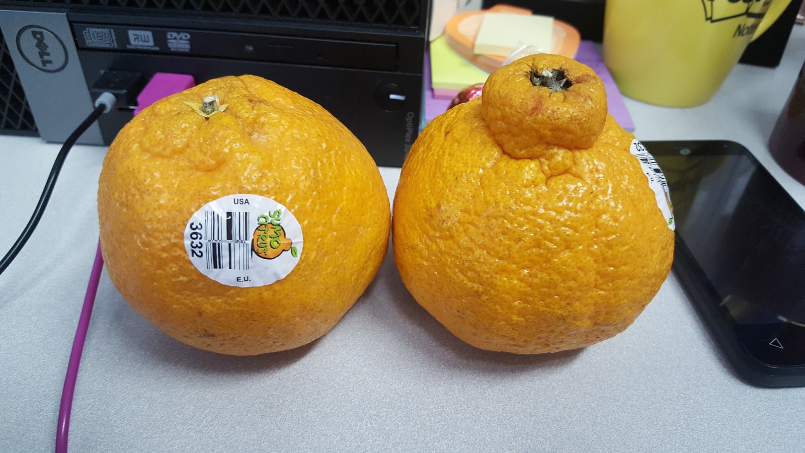 There's A New Citrus in Town — and It's a Sumo