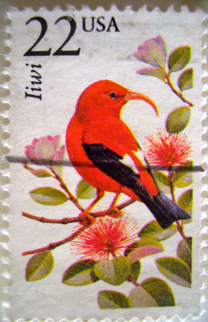 ISLAND STAMPS HAWAII