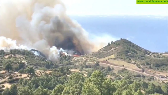 Las tareas de extinción del incendio de Garafía evolucionan de forma favorable y los esfuerzos se centran en Llano Negro