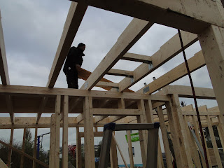Alex und Vreni bauen ein Haus: Tag 17: Deckenbalken