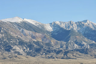 Great Basin Ute: Deepcreek Mountains, Utah