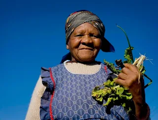 Throughout Sierra Leone women tend to work the land without any legal land titles