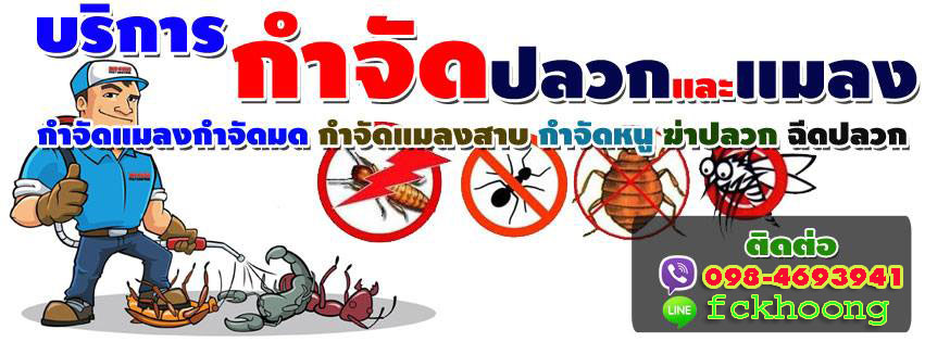 A94   ปลวก  คุณกุ้ง