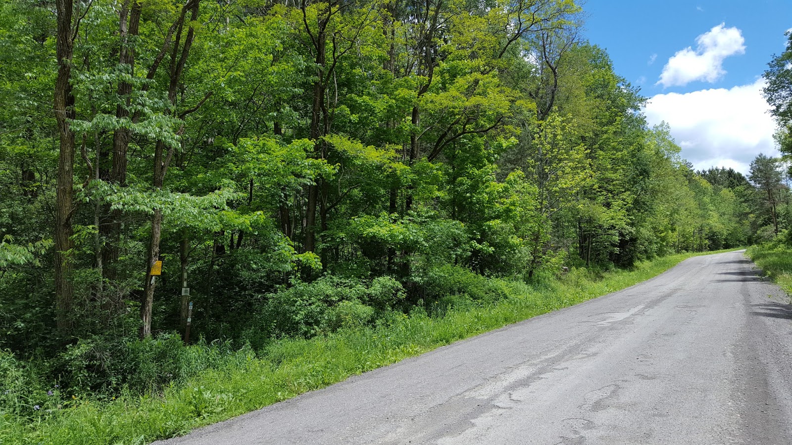 Sara Hikes... But Not Enough FLT/NCT Baker School House State Forest