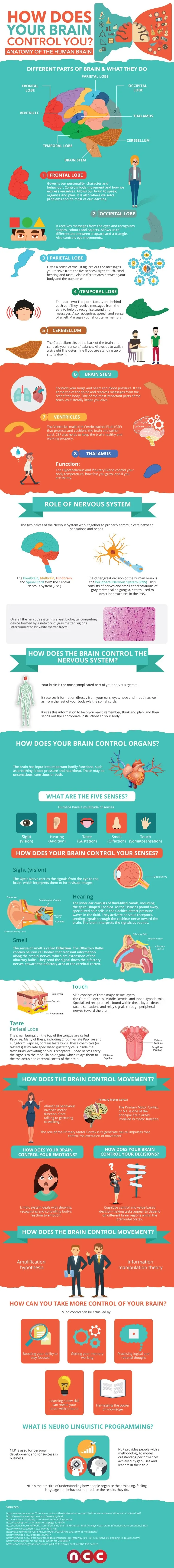 How Does Your Brain Control You? - #Infographic