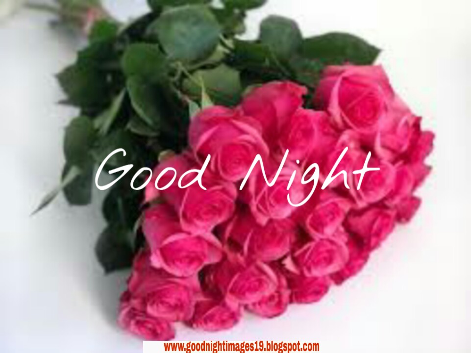 good night,good night images,good night image,good night shayari wishes ...