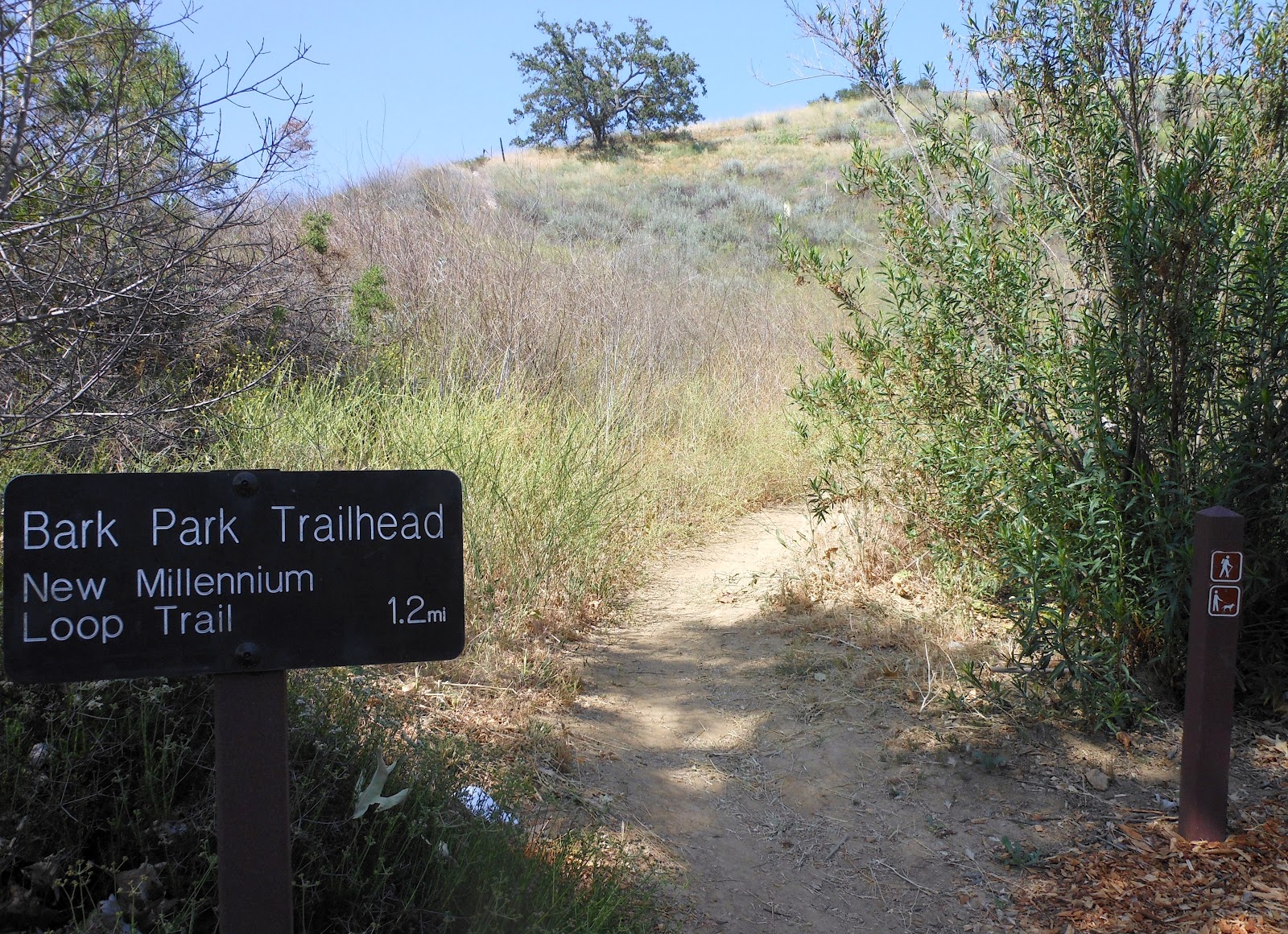 1000 Hikes in 1000 Days Day 556 Bark Park New Millennium Loop Trail