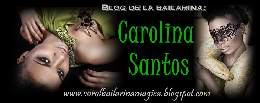 Carolina Santos Blog