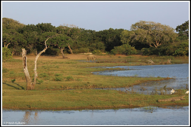 Yala National Park Yala National Park