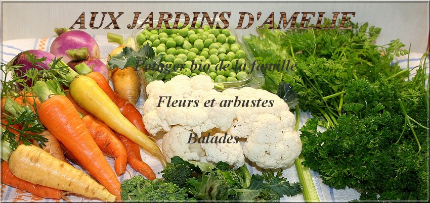 Aux Jardins D'Amélie