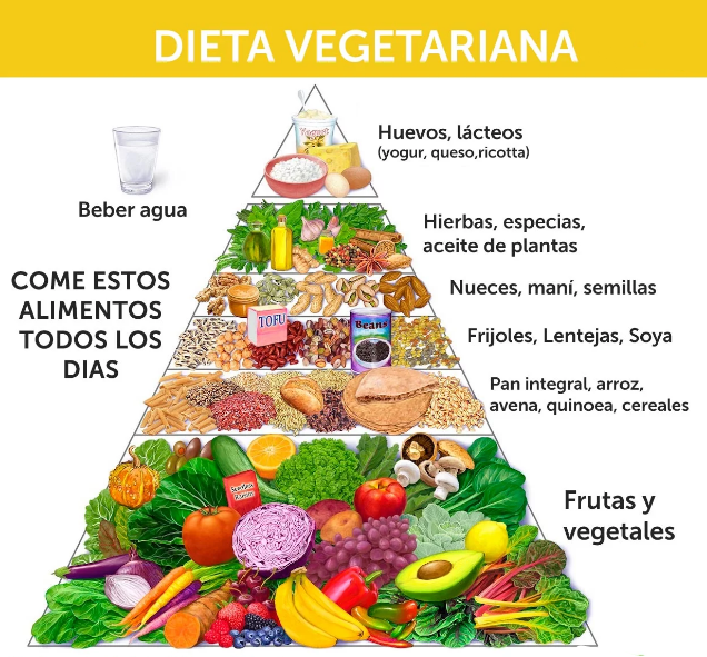 Dieta vegetariana