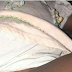 School Teacher Rapes 2-years-old pupil.