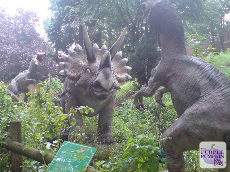 House on the Hill Toy Museum, Stansted Mountfitchet, Essex