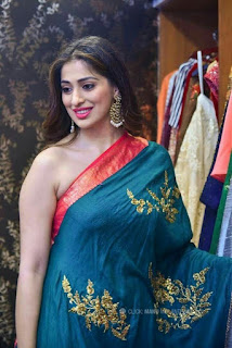 Laxmi Raai Hot in Transparent Saree and Golden Blouse | Sowkarpettai Tamil Movie Hot Spicy Devil Stills Navel Queens Laxmi Raai Hot in Transparent Saree and Golden Blouse | Sowkarpettai Tamil Movie Hot Spicy Devil Stills Navel Queens