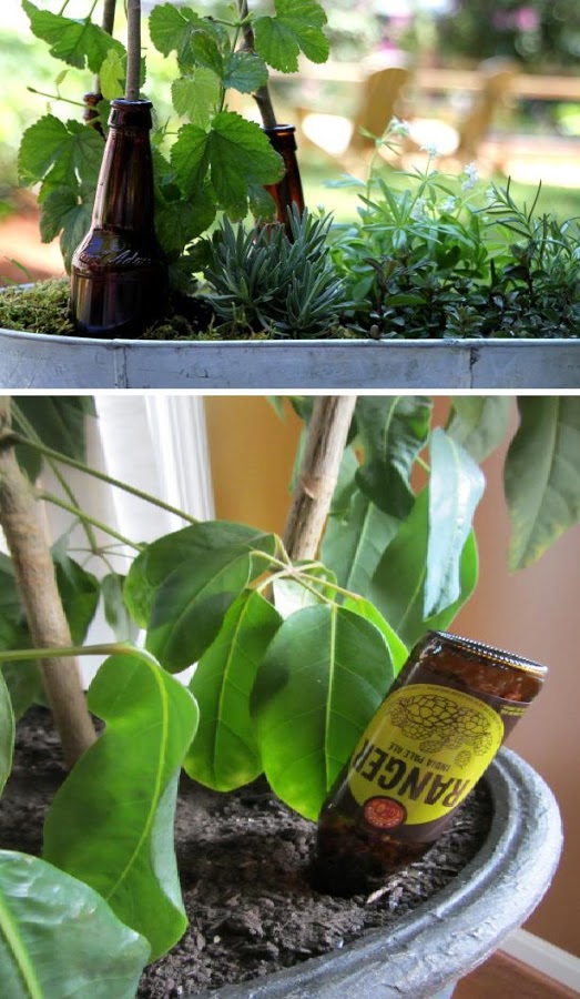 Plant a Beer Garden garden favorite