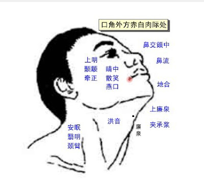 燕口穴位 | 燕口穴痛位置 - 穴道按摩經絡圖解 | Source:zhongyibaike.com