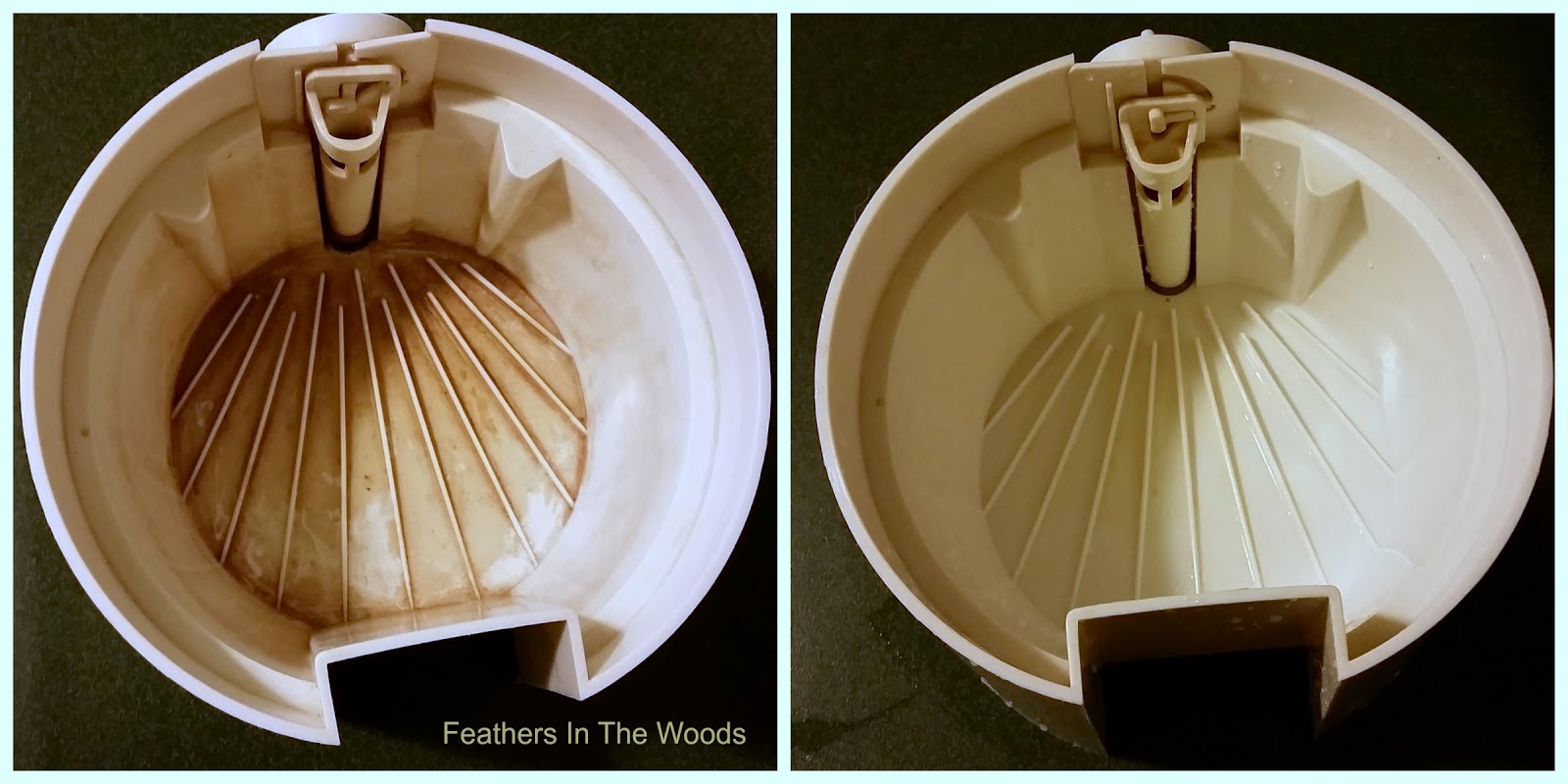 Cleaning with denture tablets 8 different uses Feathers in the woods