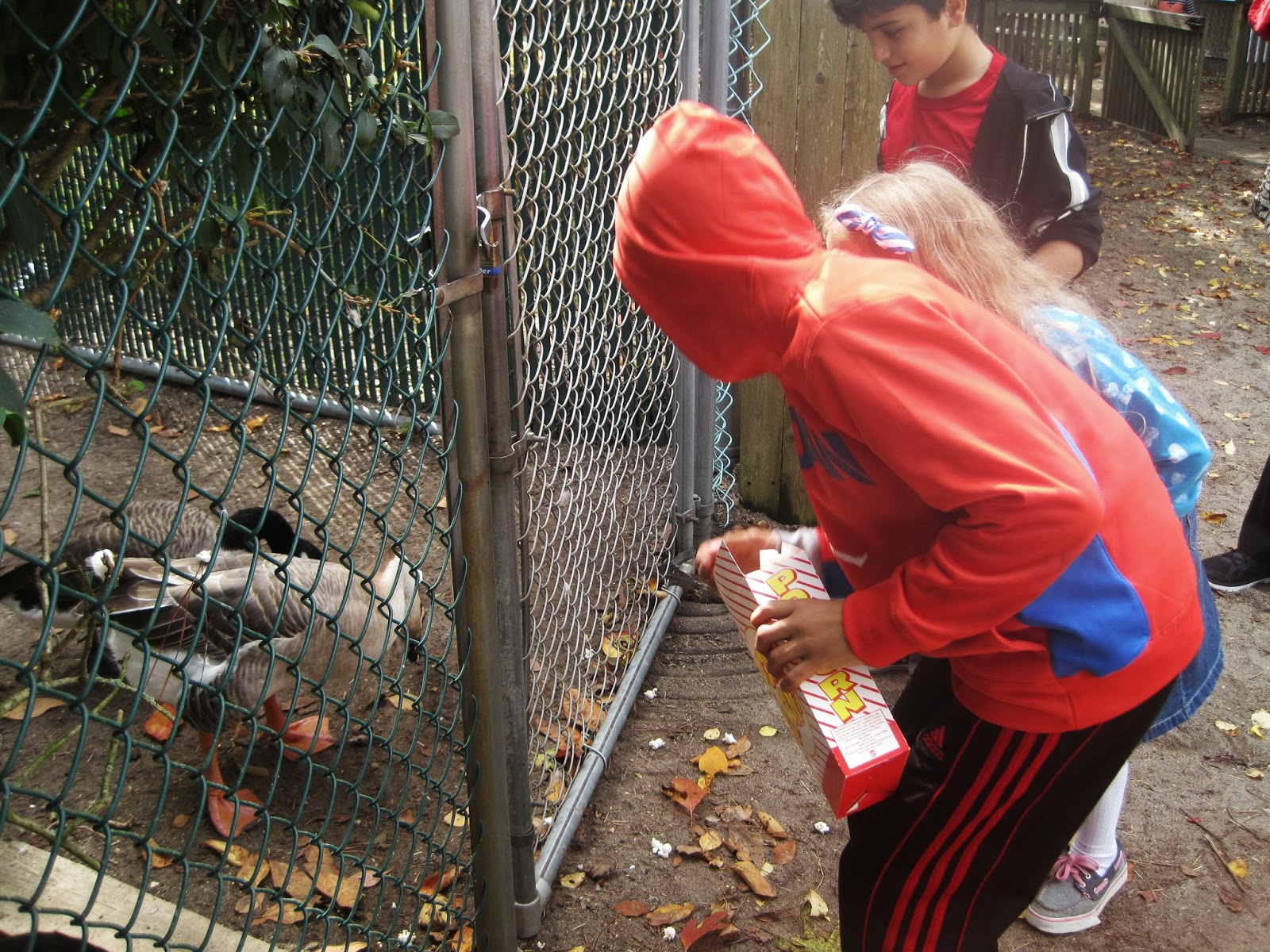The Third Grade Learning Spot Popcorn Park Zoo Trip