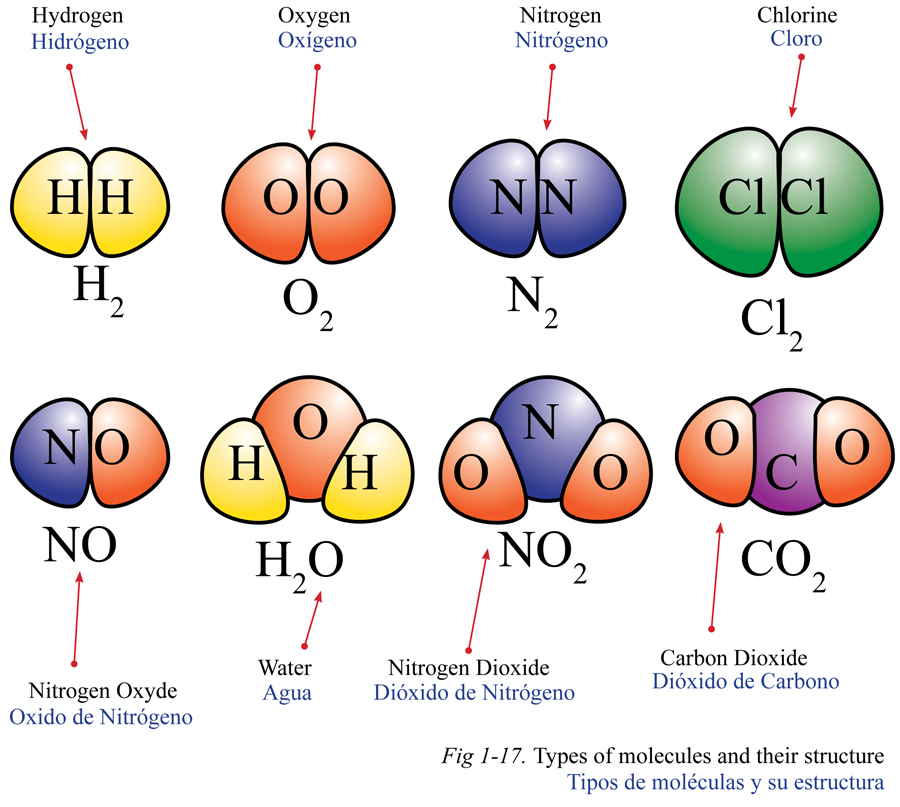 Tipos de moleculas