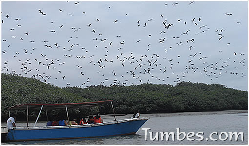 TURISMO TUMBES