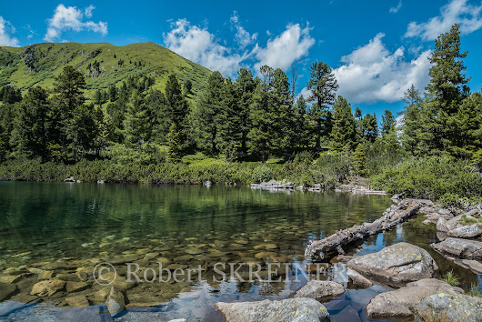 Robert SKREINER - Blog