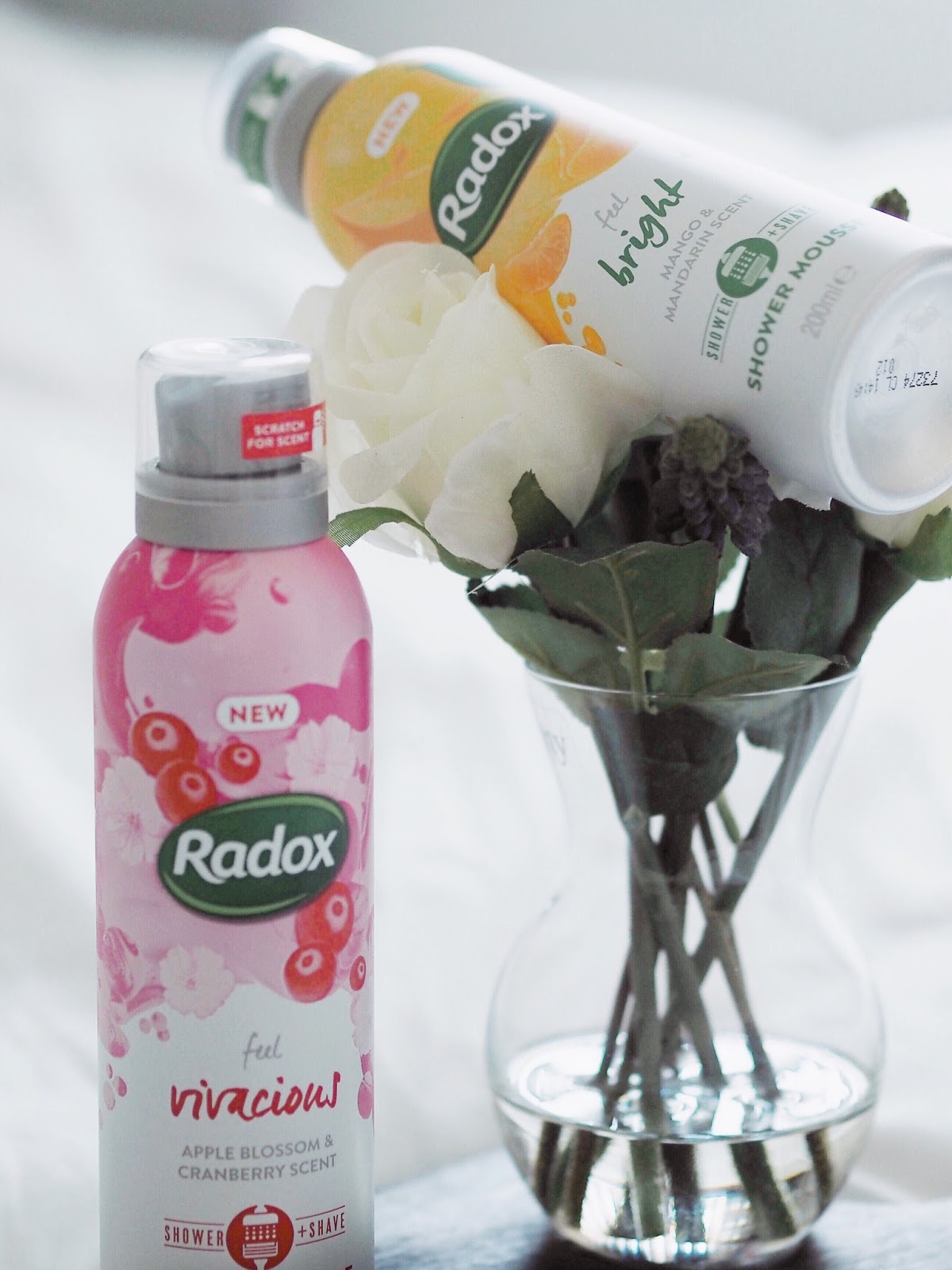 New Radox & Dove Shower Mousse Collections Penny A Unwin