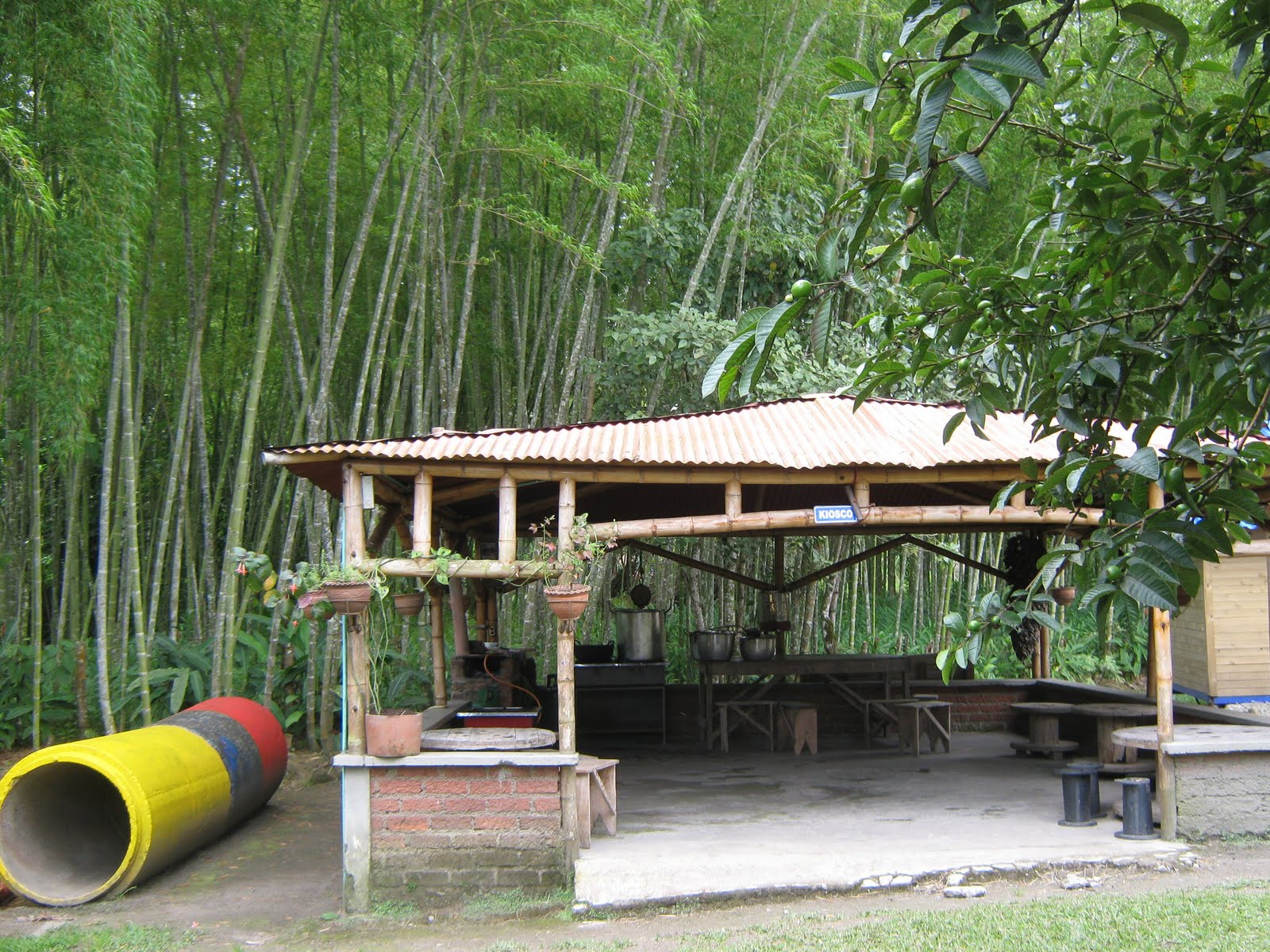 SALENTO ALOJAMIENTO RURAL VILLA NATALIA SALENTO ALOJAMIENTO RURAL