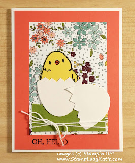 Chick in an Egg Card made with Stampin'UP!'s Honeycomb Happiness Stamp Set