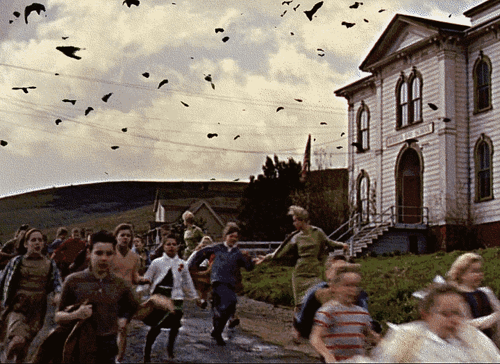 pajaros%2Btotal%2B2%2B255c%2Bvd%2Bfcrr%2Bv2%2B720%2Bgimp%2Bre32c.gif pajaros%2Btotal%2B2%2B255c%2Bvd%2Bfcrr%2Bv2%2B720%2Bgimp%2Bre32c.gif