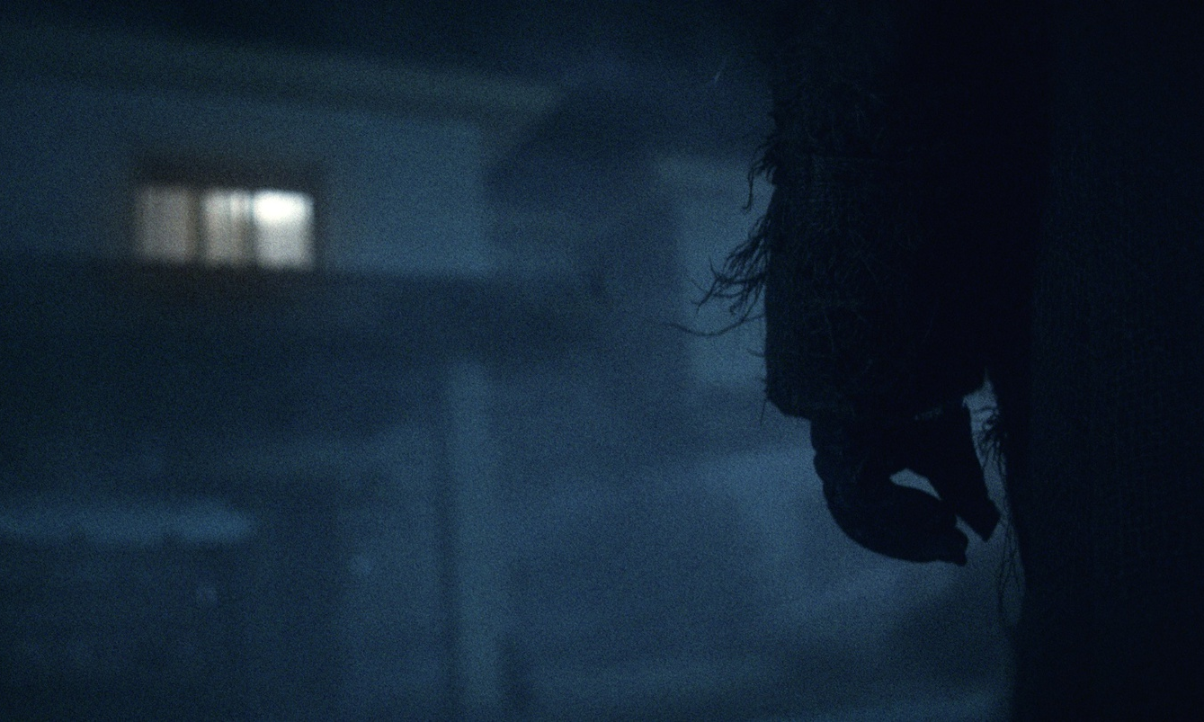 Cinemablographer Ottawa S Cellar Door Film Festival Returns Nov 5 7