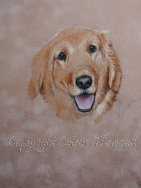 golden retriever painting in progress by Colette Theriault