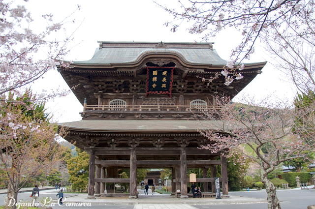 Japón primavera 2016 - 18 días (con bajo presupuesto) - Blogs de Japon - Día 7 - Kamakura (15)
