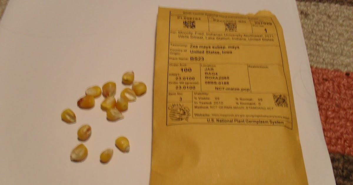 The Perennial Agriculturalist government seeds