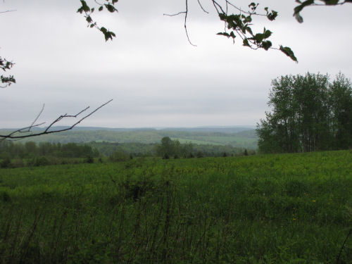Cuyler Hill view