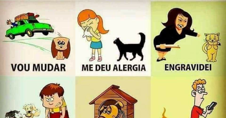 Dra. Monica Grimaldi Direito Animal