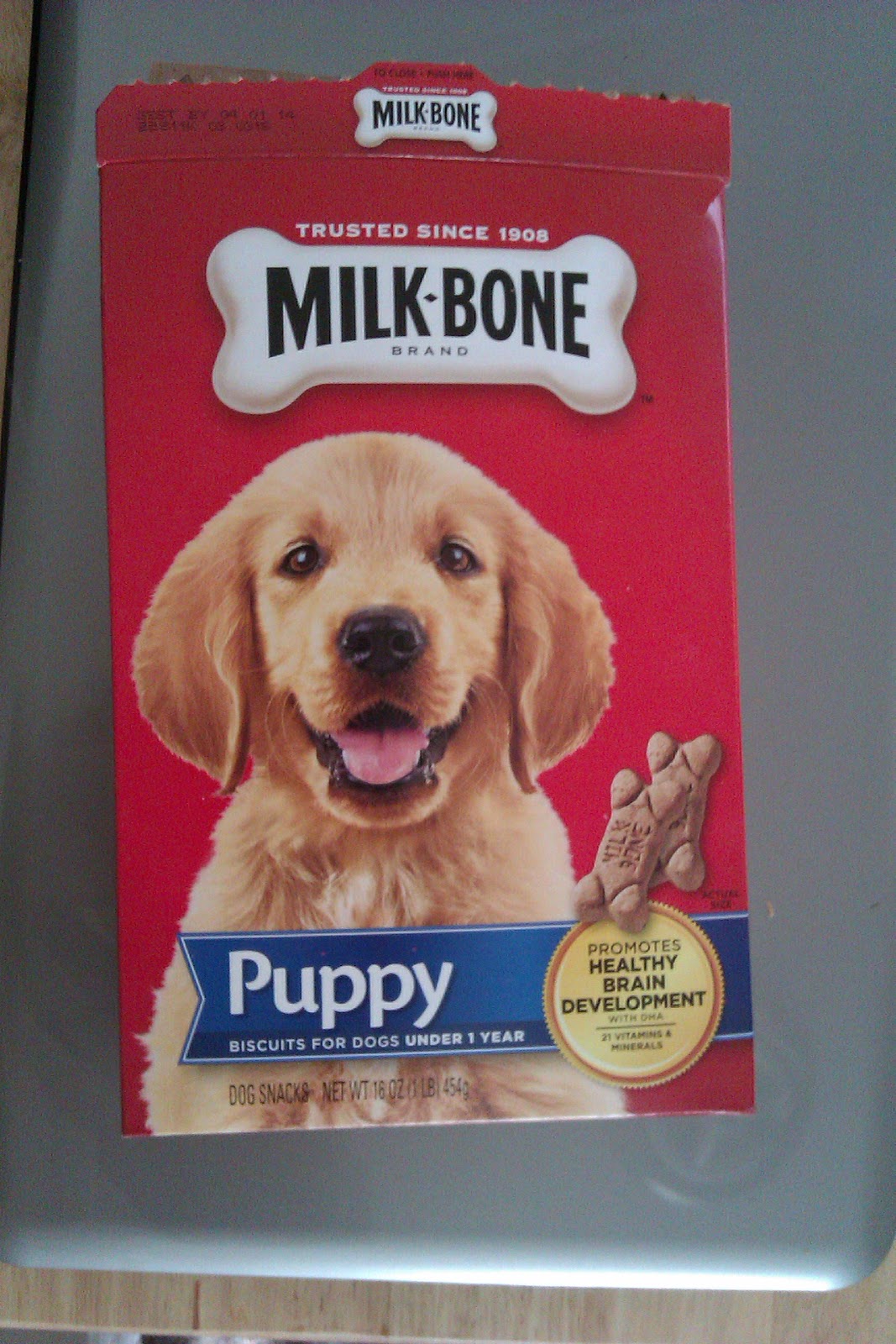 Raising Toot and Roxy What's the best treat for pitbull puppies?