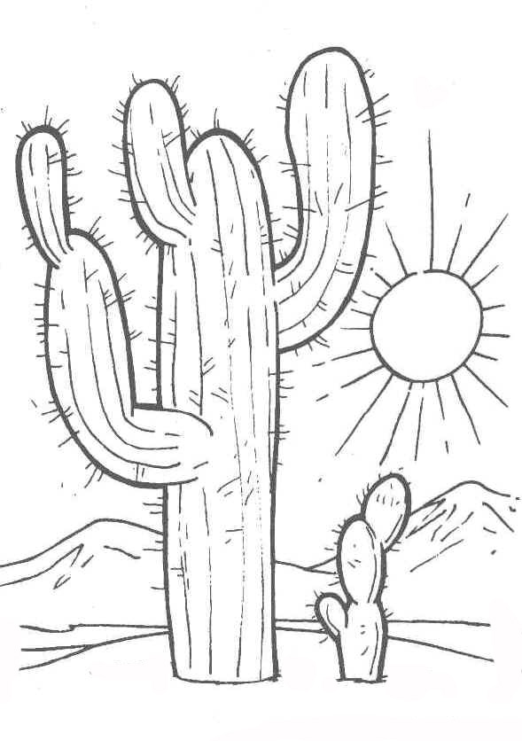 Saguaro Cactus Coloring Pages