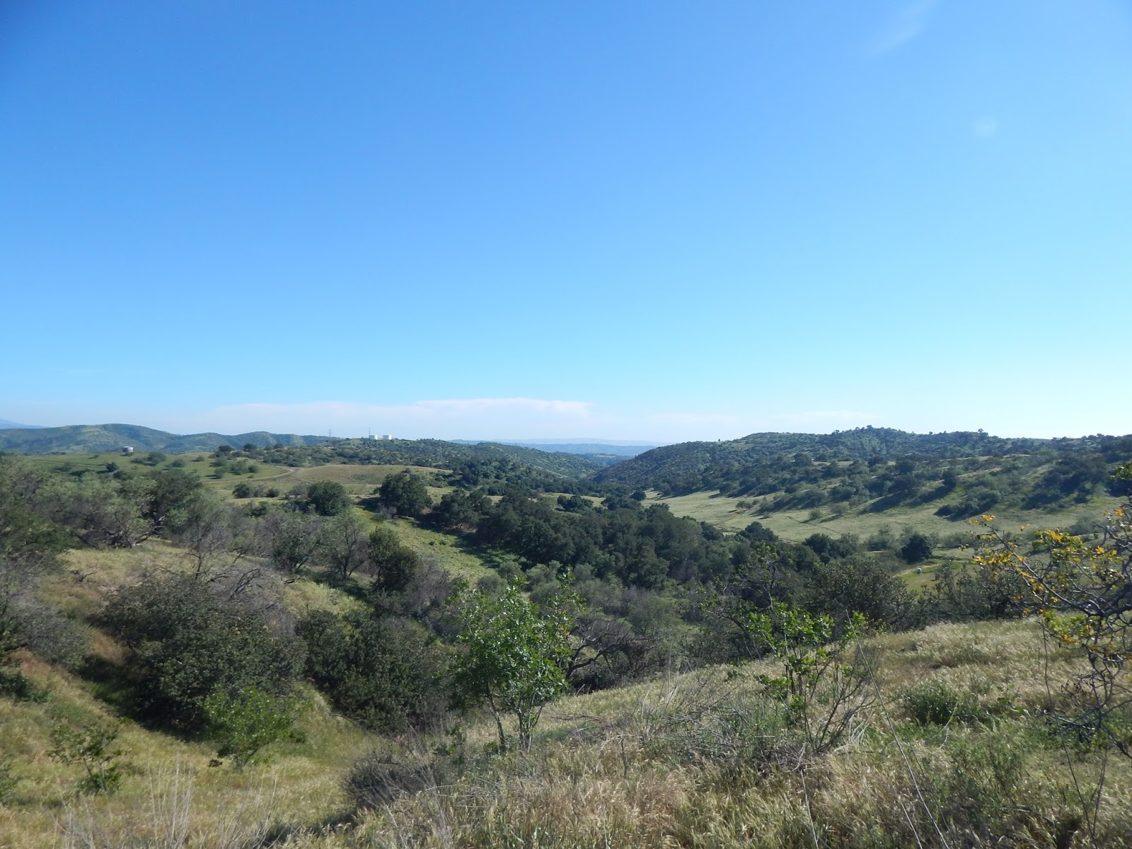 Carbon Canyon Chronicle A Ramble Through the Chino Hills North of