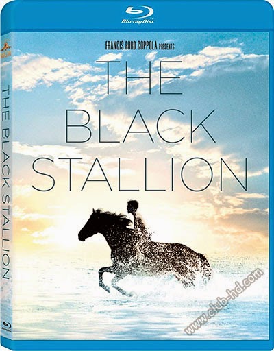 The_Black_Stallion_POSTER.jpg