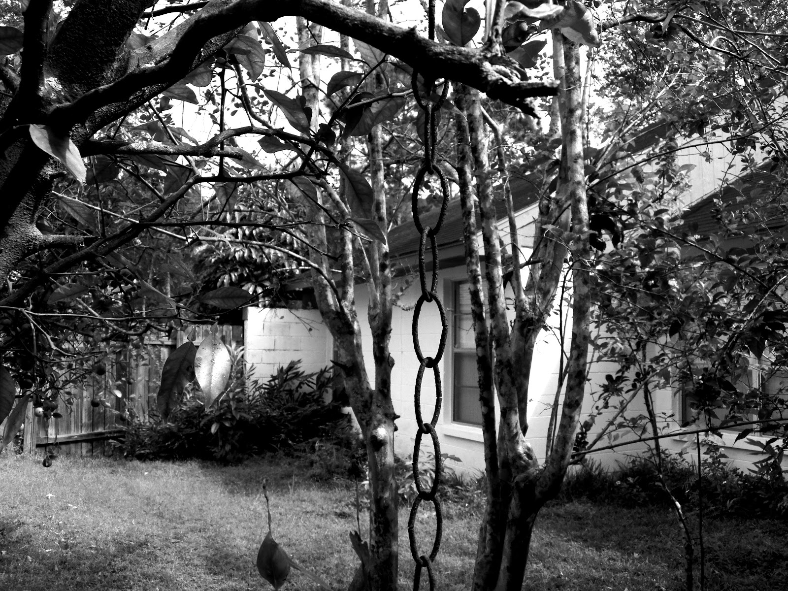 Practice taking some photographs for conversion to black and white when youve finished use photo editing software to convert the images from color to