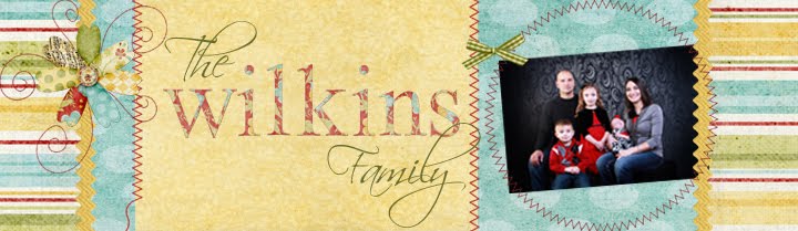 Wilkins Family Blog